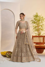 Aastha Fashion Metallic Gray Butterfly Net Tone To Tone Cotton Thread Work And Sequence Work Embroidery Wedding Wear Lehenga Choli