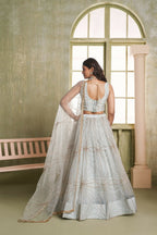 Eilara Light Gray Sequins Net Function Wear Lehenga Choli Set