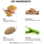 Dr. Vaidya's Plant Protein Powder - Distacart