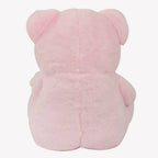 Webby Plush Cute Sitting Teddy Bear Soft Toys With Neck Bow And Foot Print, Pink