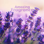 Vivel Fragrant Body Wash Lavender & Almond Oil Moisturizing Shower Gel Supersaver Refill Pack