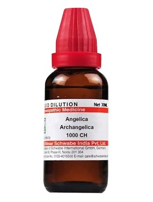 Dr. Willmar Schwabe India Angelica Archangelica Dilution