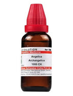 Dr. Willmar Schwabe India Angelica Archangelica Dilution