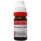 Dr. Reckeweg Glonoinum Dilution - Distacart