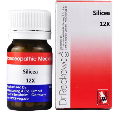 Dr. Reckeweg Silicea Biochemic Tablets - Distacart