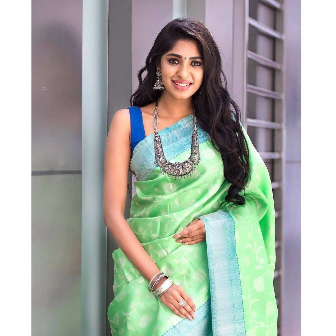 DEIANA'S Beautiful Designer Golden zari Soft Lichi Silk Saree - Pista