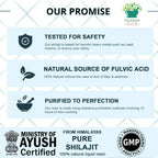 Pavanam Ayurveda Pure Himalayan Sj Resin Form