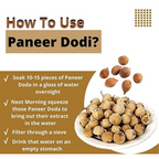 Nature Yard Paneer Phool