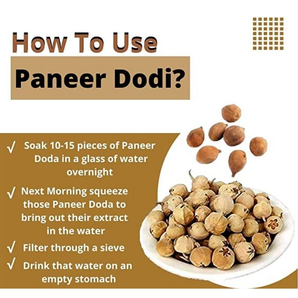 Nature Yard Paneer Phool