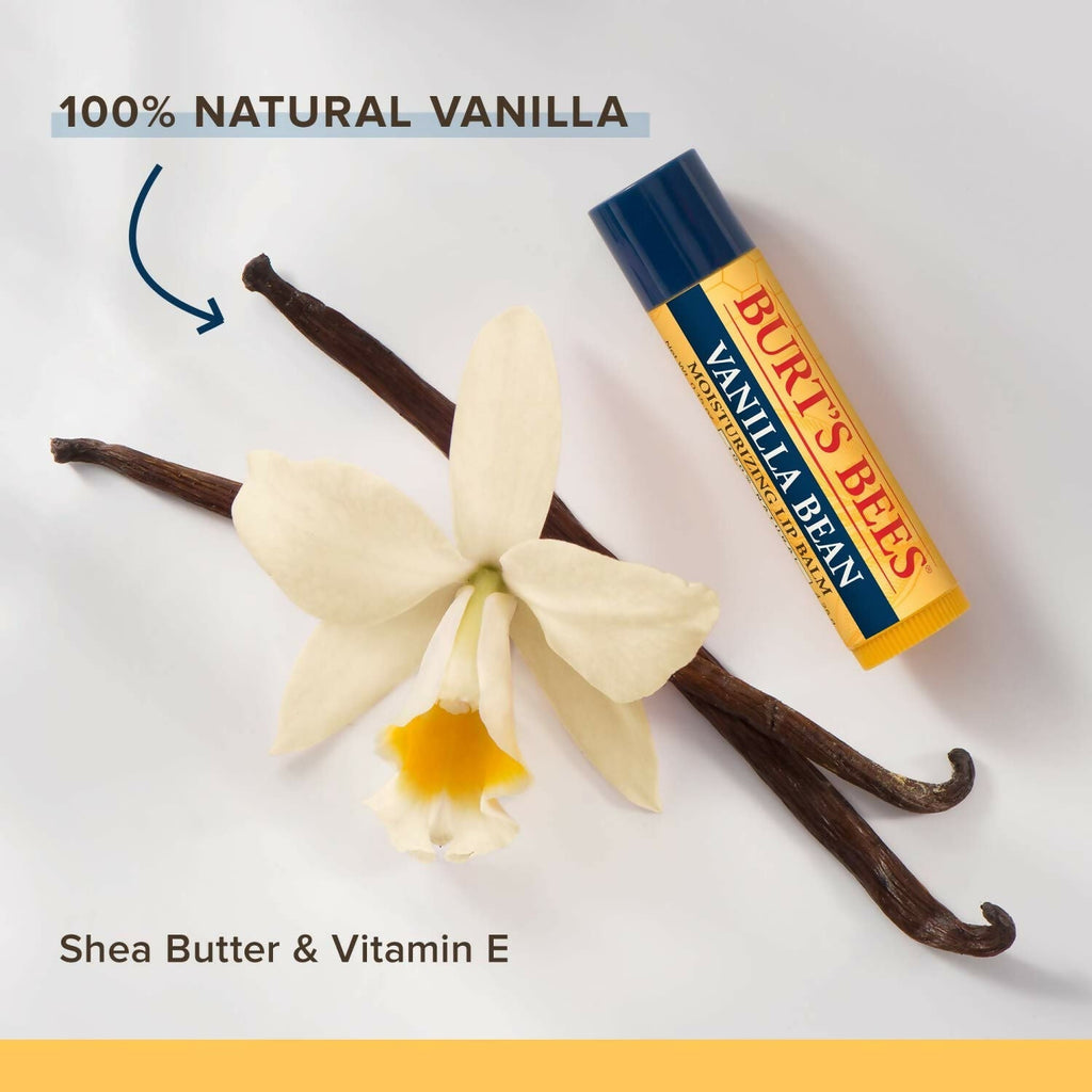 Burt's Bees Natural Moisturizing Lip Balms (Beeswax, Cucumber Mint, Coconut & Pear, Vanilla Bean)