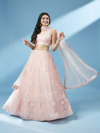 House of Panchhi Peach Net Gotapatti Work Lehenga & Blouse, Dupatta
