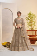 Aastha Fashion Metallic Gray Butterfly Net Tone To Tone Cotton Thread Work And Sequence Work Embroidery Wedding Wear Lehenga Choli