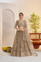 Aastha Fashion Metallic Gray Butterfly Net Tone To Tone Cotton Thread Work And Sequence Work Embroidery Wedding Wear Lehenga Choli