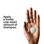 L’Oréal Professionnel Scalp Advanced Anti-Dandruff Dermo-Clarifier Shampoo - Distacart