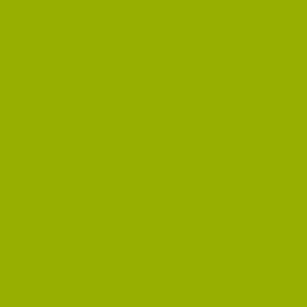 confect pea green nutritional sugarpaste 250 gms