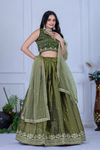 DEIANA'S Heavy Embroidery With Sequence Work Lehenga Choli - Mehndi - Distacart