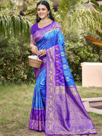 Shree Shyam Fashion Sky Blue Pochampally Silk Saree - Distacart