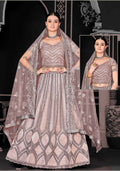 Light Brown Net Semi-Stitched Bridal Lehenga - Nimayaa Bonanza