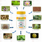 Gunatit Herbal Genswell Capsules