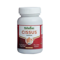 Rajasthan Herbals Cissus Capsules