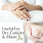 Old Tree Ginger Lily Essential Oil
