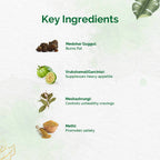 Dr. Vaidya's Herboslim Tablets - Distacart
