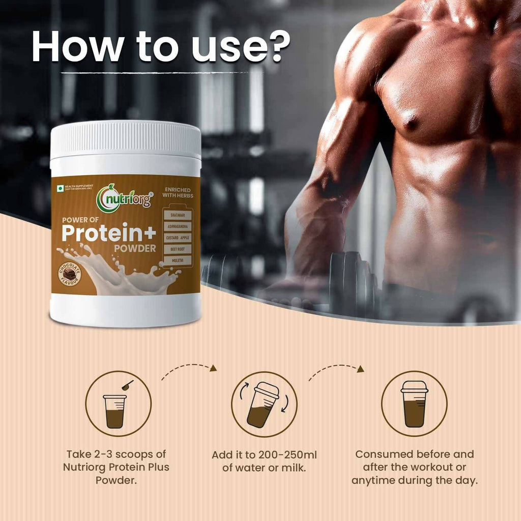 Nutriorg Protein Plus Chocolate Flavor Powder - Distacart