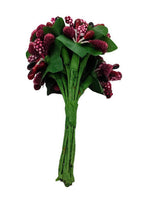 Maroon Pollens