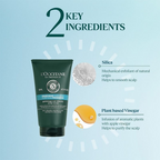 L'Occitane Purifying Freshness Scalp Scrub