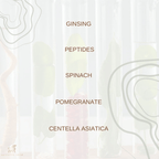 Auguste Skin FloraFusion Revitalizing Day Cream