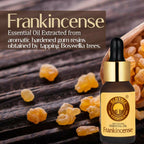 Old Tree Frankincense Essential Oil