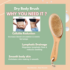 House of Beauty Dry Brush