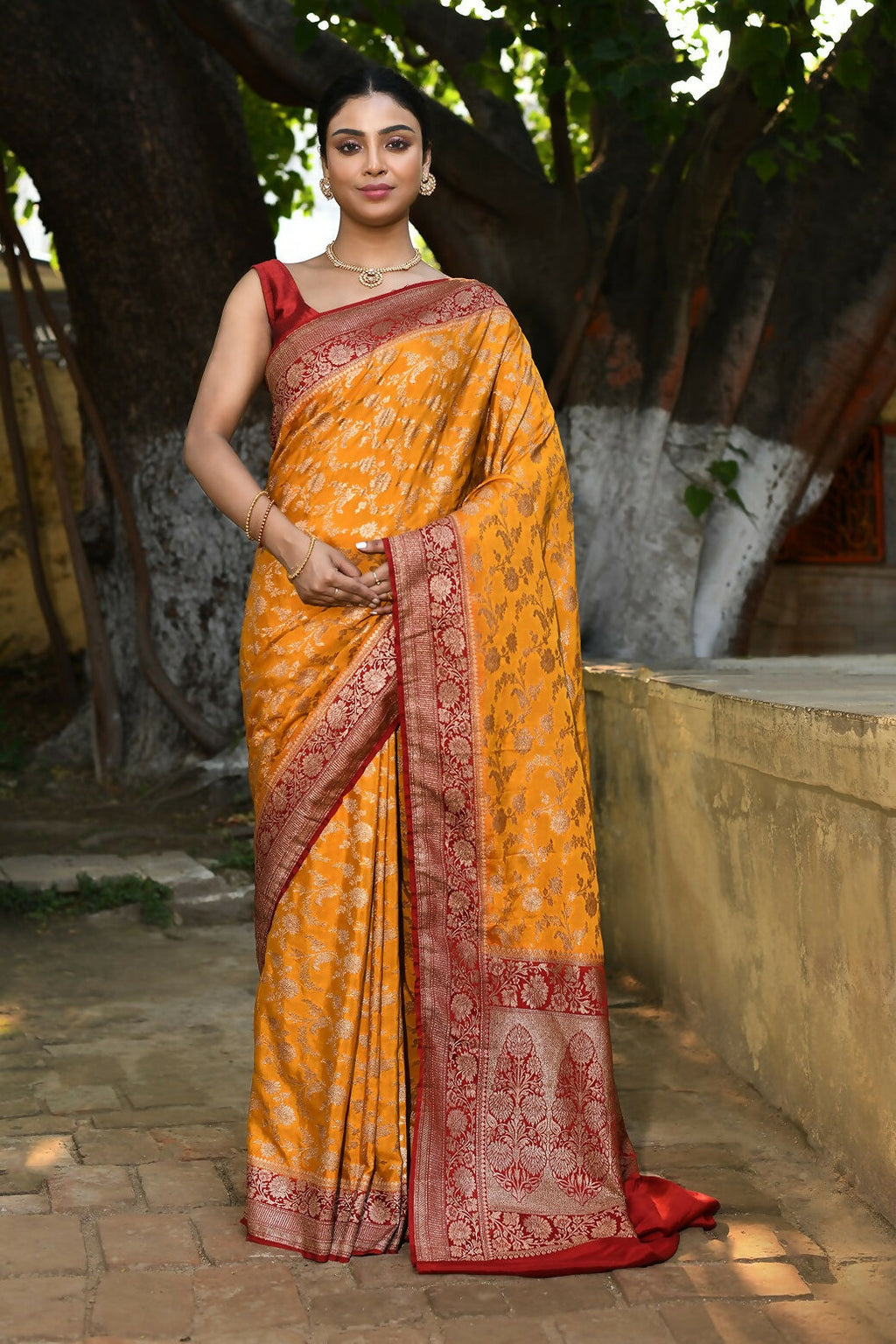 Joban Fashion Gold Crepe Chiffon Pure Handloom Banarasi Silk Saree
