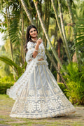 Eilara Glamorous Women'S Grey Zari With Paper Mirror Embroidered Net Fabric Lehenga Choli