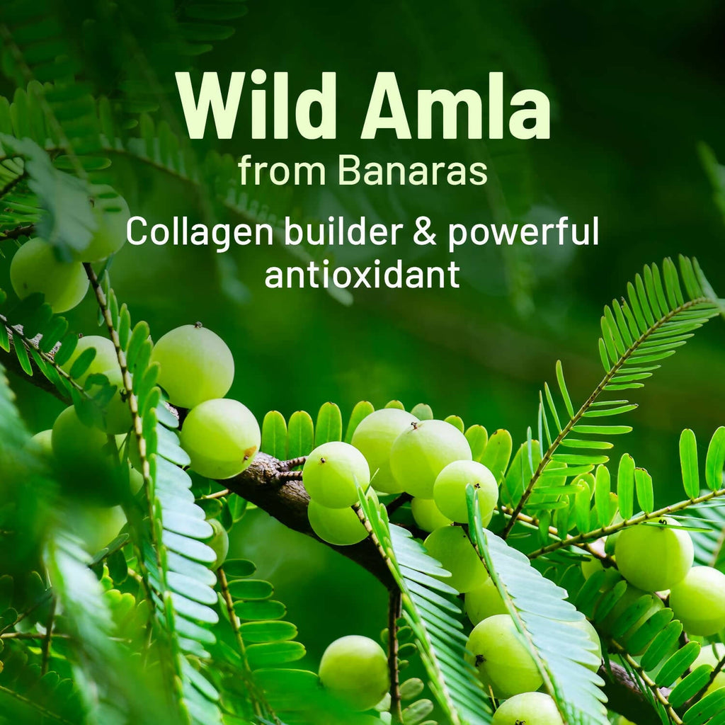 Gynoveda Amla Vitamin C Face Serum