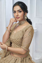 Kesar Fab Brown Net Embroidered Lehenga