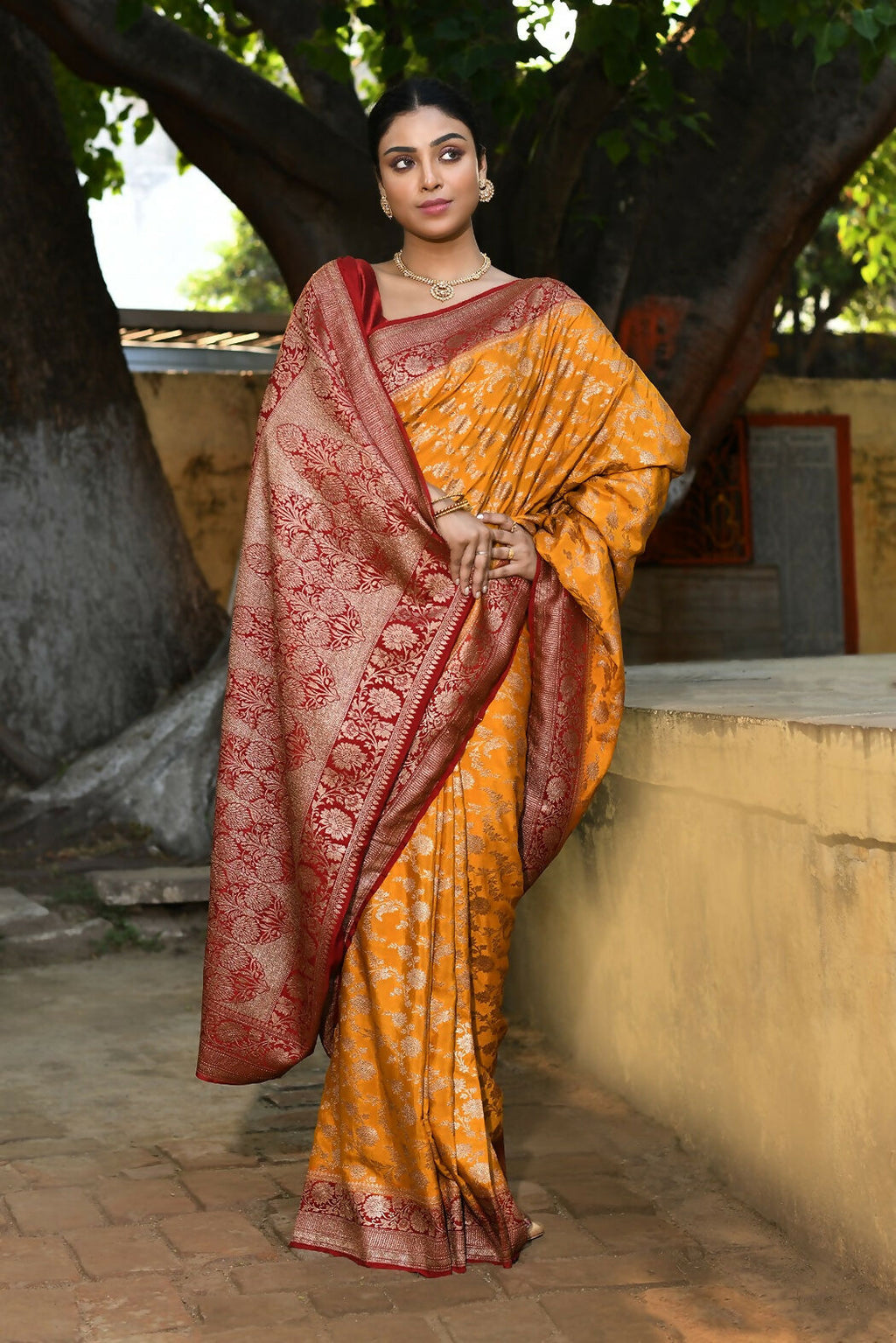 Joban Fashion Gold Crepe Chiffon Pure Handloom Banarasi Silk Saree