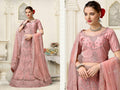Light Pink Net Fancy Zari Embroidered work Lehenga Choli with Dupatta - Heer