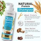 Volamena Natural Protein 2 In 1 Hair Shampoo