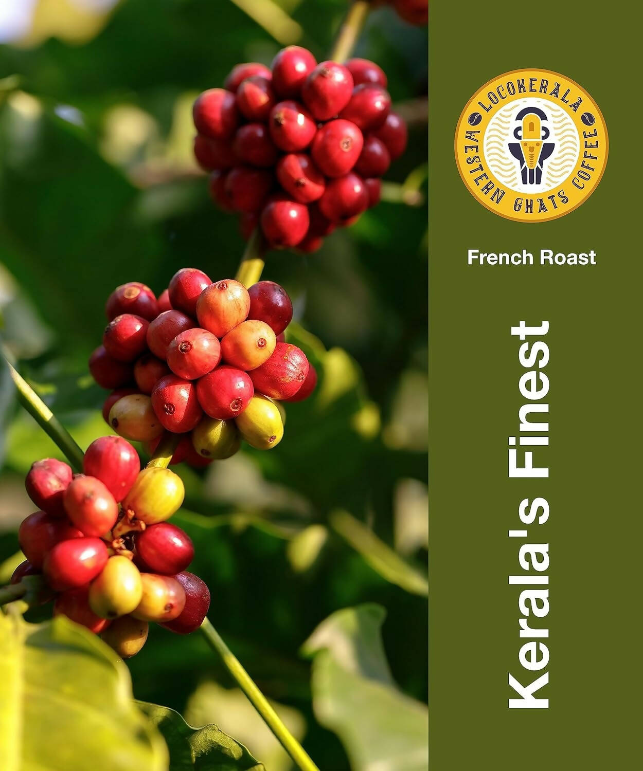 LocoKerala Western Ghats French Roast Arabica Whole Bean Coffee - Distacart
