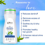 Globus Naturals Anti Dandruff Shampoo, For Dandruff and Itchy Scalp, Suitable For All Hair Types - Distacart