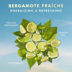 Moroccanoil Hand Cream Bergamot Fraiche