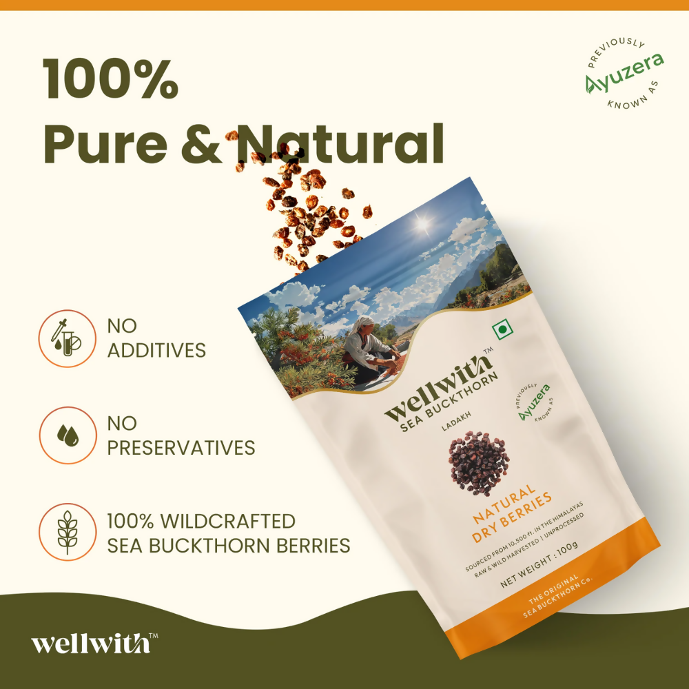 Wellwith Sea Buckthorn Dry Berry