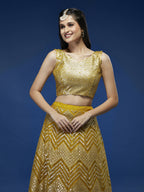 House of Panchhi Mustard Net Sequinse Work Lehenga & Blouse, Dupatta