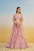 Aastha Fashion Pink Butterfly Net Tone To Tone Cotton Thread Work And Sequence Work Embroidery Wedding Wear Lehenga Choli