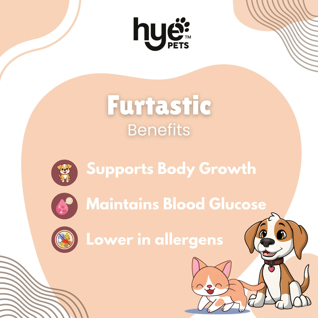 Hye Pets Full Fat Camel Milk Powder For Dogs And Cats