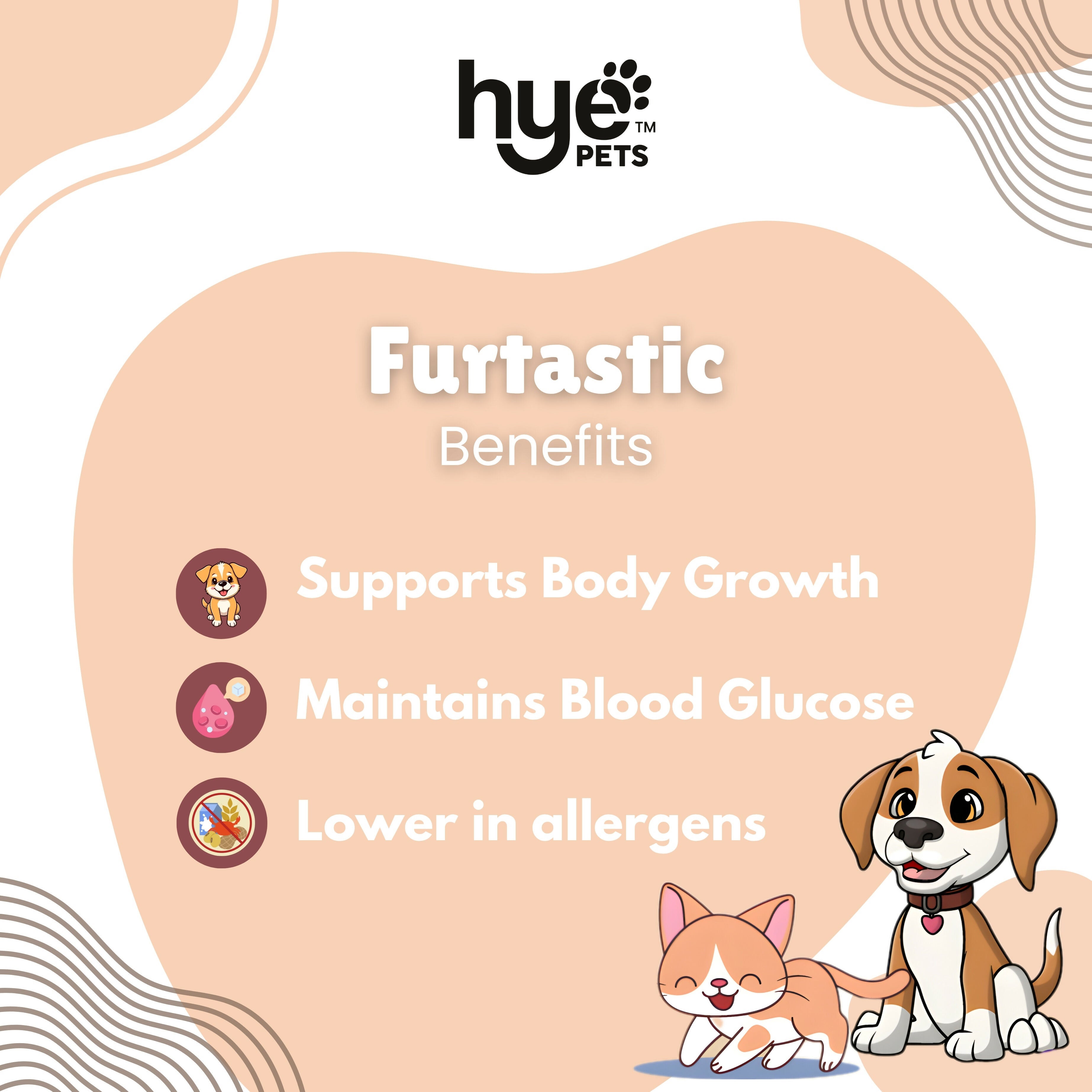Hye Pets Full Fat Camel Milk Powder For Dogs And Cats