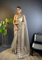 Teeya Creation Chiku Color Butterfly Net Embroidery Work Saree