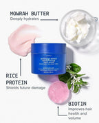Aavrani Intensive Repair Conditioning Hair Mask