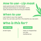 PLIX The Plant Fix Pomegranate Plump Lips, Puddin Mask & Scrub With Peeling Potion